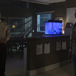 Fotoğraf Gil Birmingham