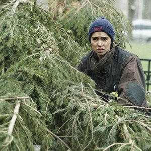 Fotoğraf Miranda Rae Mayo