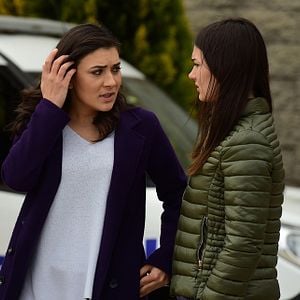 Fotoğraf Kanatsız Kuşlar