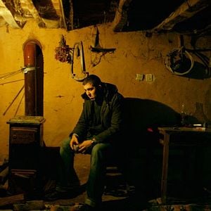 Fotoğraf Ahlat Ağacı