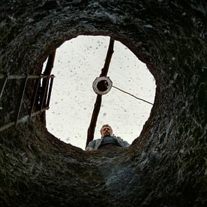 Fotoğraf Ahlat Ağacı