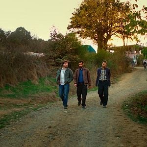 Fotoğraf Ahlat Ağacı