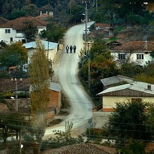 Fotoğraf Ahlat Ağacı