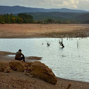 Fotoğraf Ahlat Ağacı