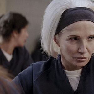 Fotoğraf Animal Kingdom