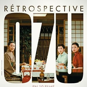 Fotoğraf Ekinoks Çiçeği