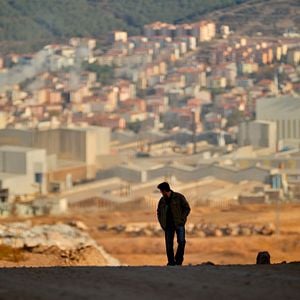 Fotoğraf Ahlat Ağacı