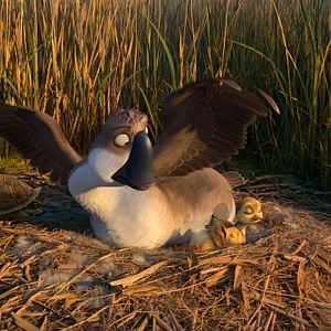 Fotoğraf Neşeli Kanatlar: Büyük Göç