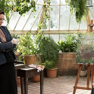 Fotoğraf Gece Yarısı Bir Çığlık Duydum