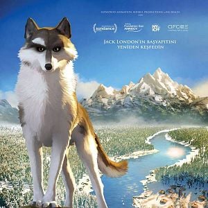 Fotoğraf Beyaz Diş