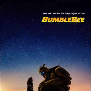 Fotoğraf Bumblebee