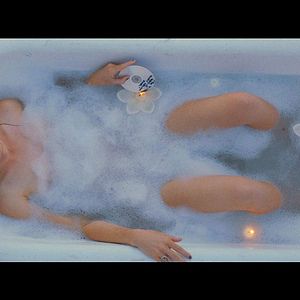 Fotoğraf Social Animals