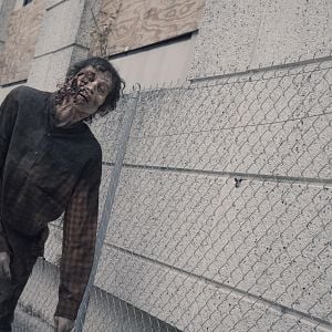 Fotoğraf Fear The Walking Dead