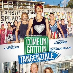 Fotoğraf Come Un Gatto In Tangenziale