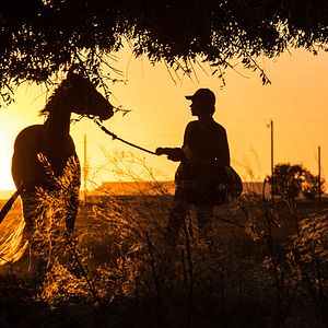 Fotoğraf Lean On Pete