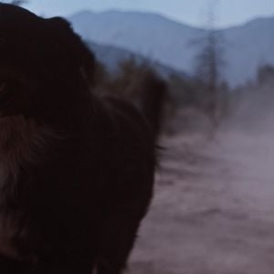 Fotoğraf Tarde Para Morir Joven