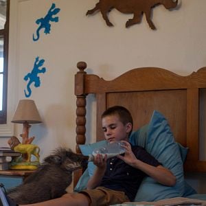 Fotoğraf Vahşi Dostum