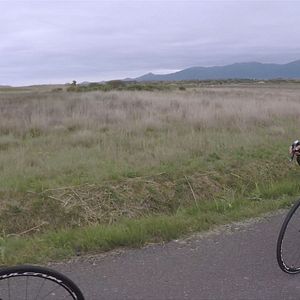 Fotoğraf Dani Rovira