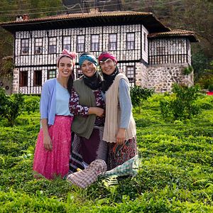 Fotoğraf Ege'nin Hamsisi