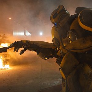 Fotoğraf Bumblebee