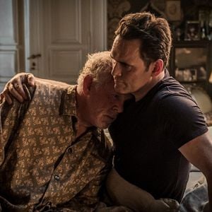 Fotoğraf Head Full Of Honey