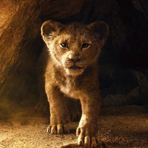 Fotoğraf Aslan Kral