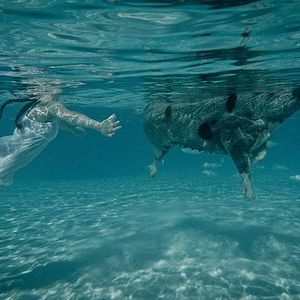 Fotoğraf Divino Amor