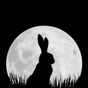 Fotoğraf Watership Down