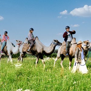 Fotoğraf Axel Stein