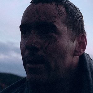 Fotoğraf Alessandro Nivola