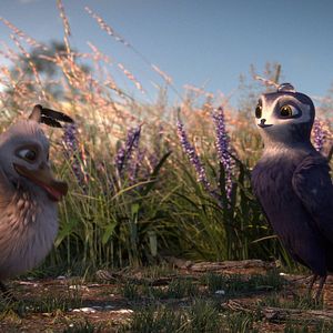 Fotoğraf Hızlı ve Tüylü