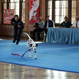 Fotoğraf Miranda Rae Mayo