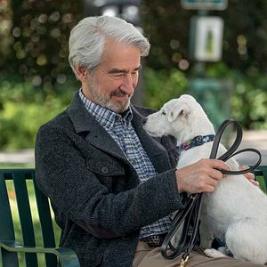 Fotoğraf Sam Waterston