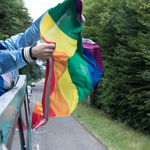 Fotoğraf Les Crevettes pailletées