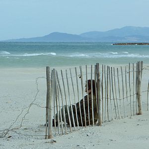 Fotoğraf L'Adieu à la nuit