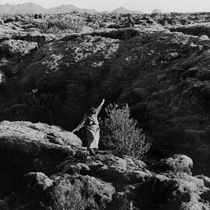 Fotoğraf Einitréð