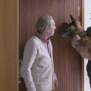 Fotoğraf Undir Trénu