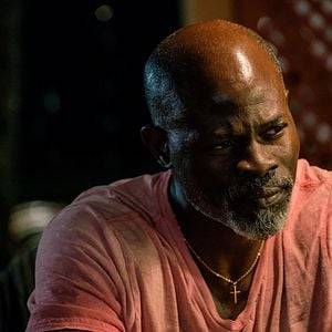 Fotoğraf Djimon Hounsou