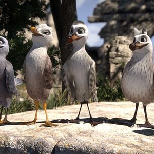 Fotoğraf Hızlı ve Tüylü