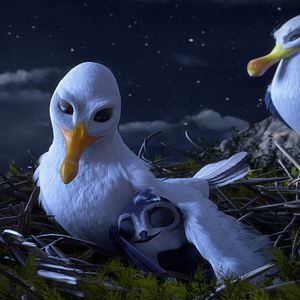 Fotoğraf Hızlı ve Tüylü