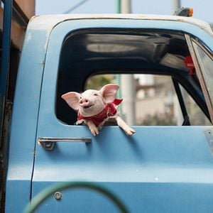 Fotoğraf Holy Lands