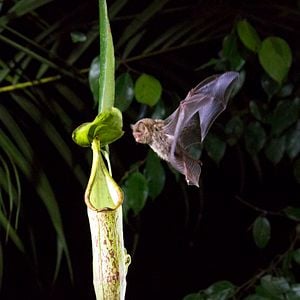 Fotoğraf Gezegenimiz