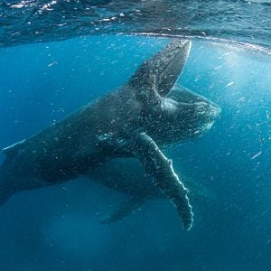 Fotoğraf Gezegenimiz
