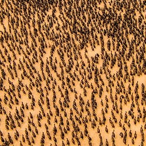 Fotoğraf Gezegenimiz