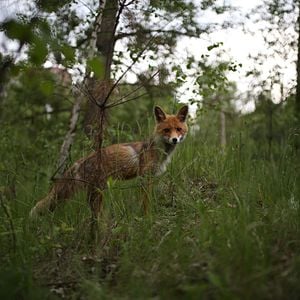 Fotoğraf Gezegenimiz