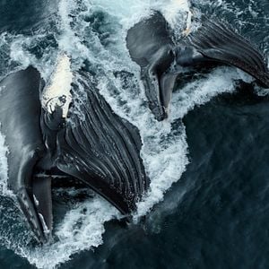 Fotoğraf Gezegenimiz