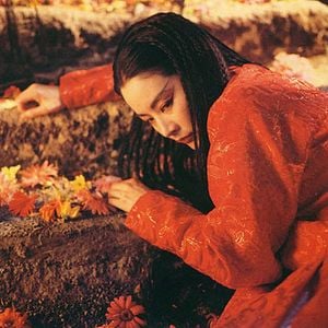 Fotoğraf Brigitte Lin Ching-hsia