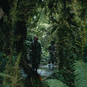 Fotoğraf Marc Zinga