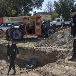 Fotoğraf Mark Harmon