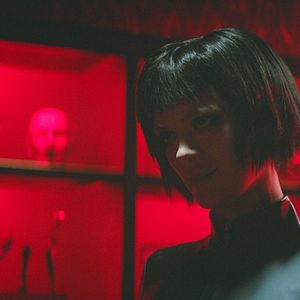 Fotoğraf Koirat eivät käytä housuja